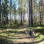 Słoneczne Mazury - * Piasutno