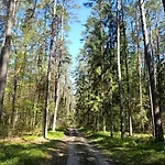 Słoneczne Mazury - Dom wakacyjny