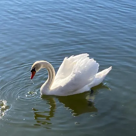 Sloneczne Mazury - Tatil Evi *