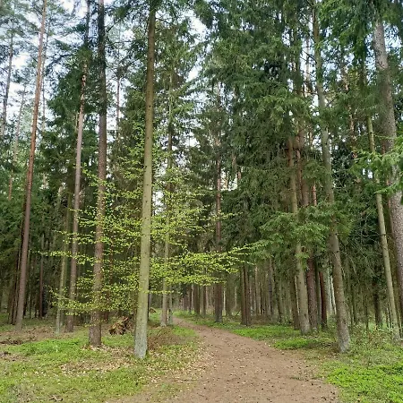 Słoneczne Mazury - * Piasutno