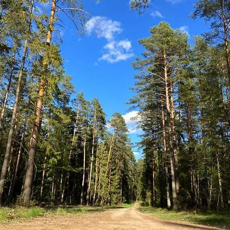 Sloneczne Mazury -