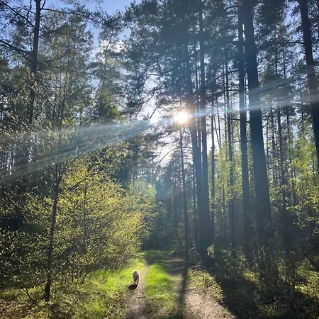 Słoneczne Mazury -