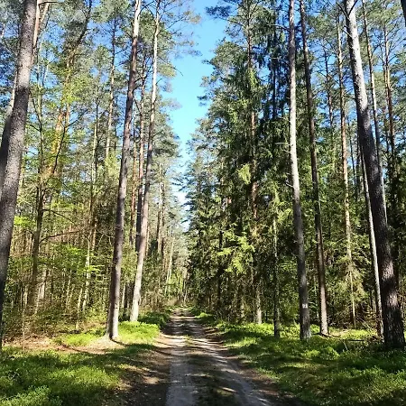 Słoneczne Mazury - Dom wakacyjny