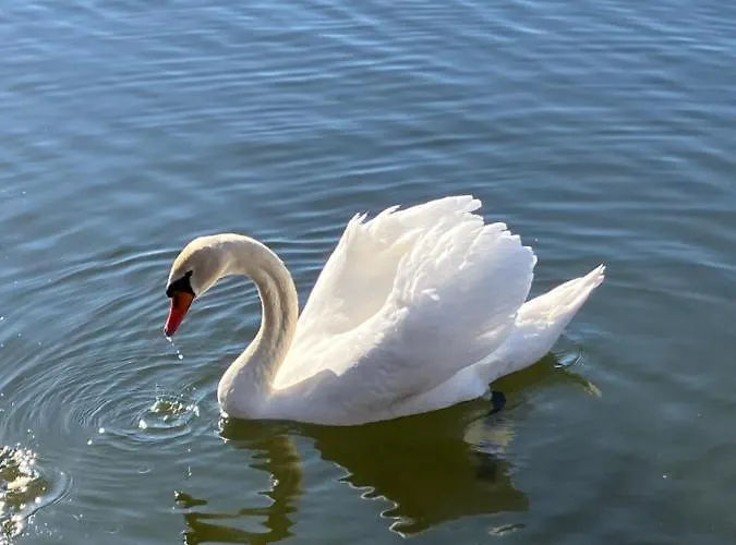 Sloneczne Mazury - Prázdninový dům *