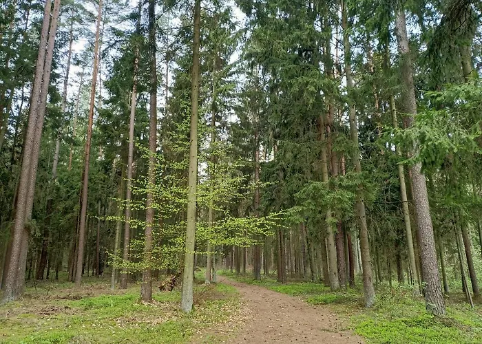 Sloneczne Mazury - * Piasutno
