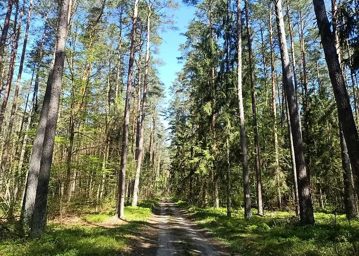 Sloneczne Mazury - Prázdninový dům