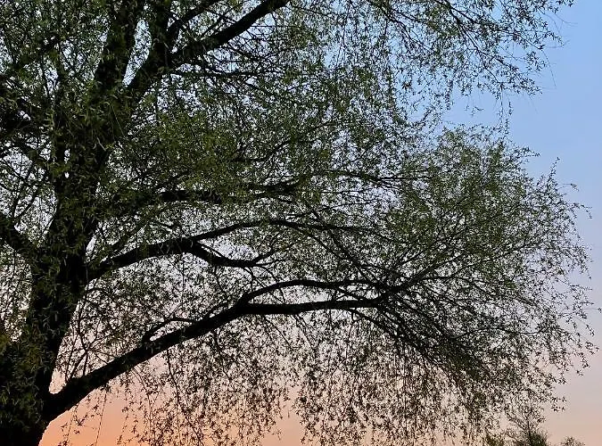 Prázdninový dům Sloneczne Mazury - Piasutno